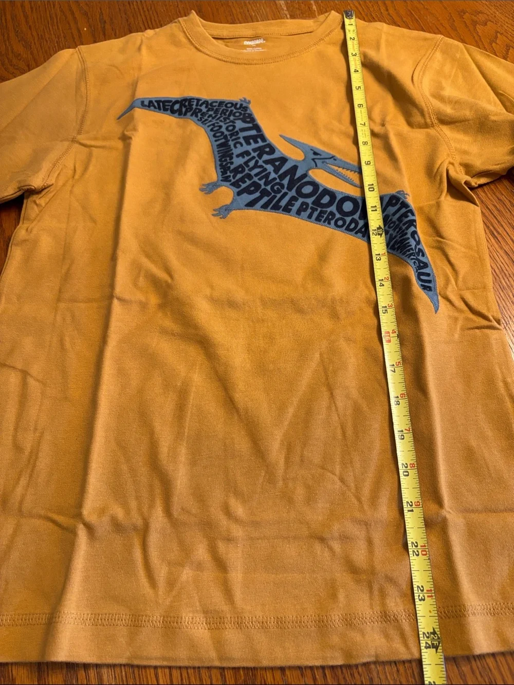 Gymboree Long-Sleeve Tee with White Layered Sleeves and Navy Pteranodon